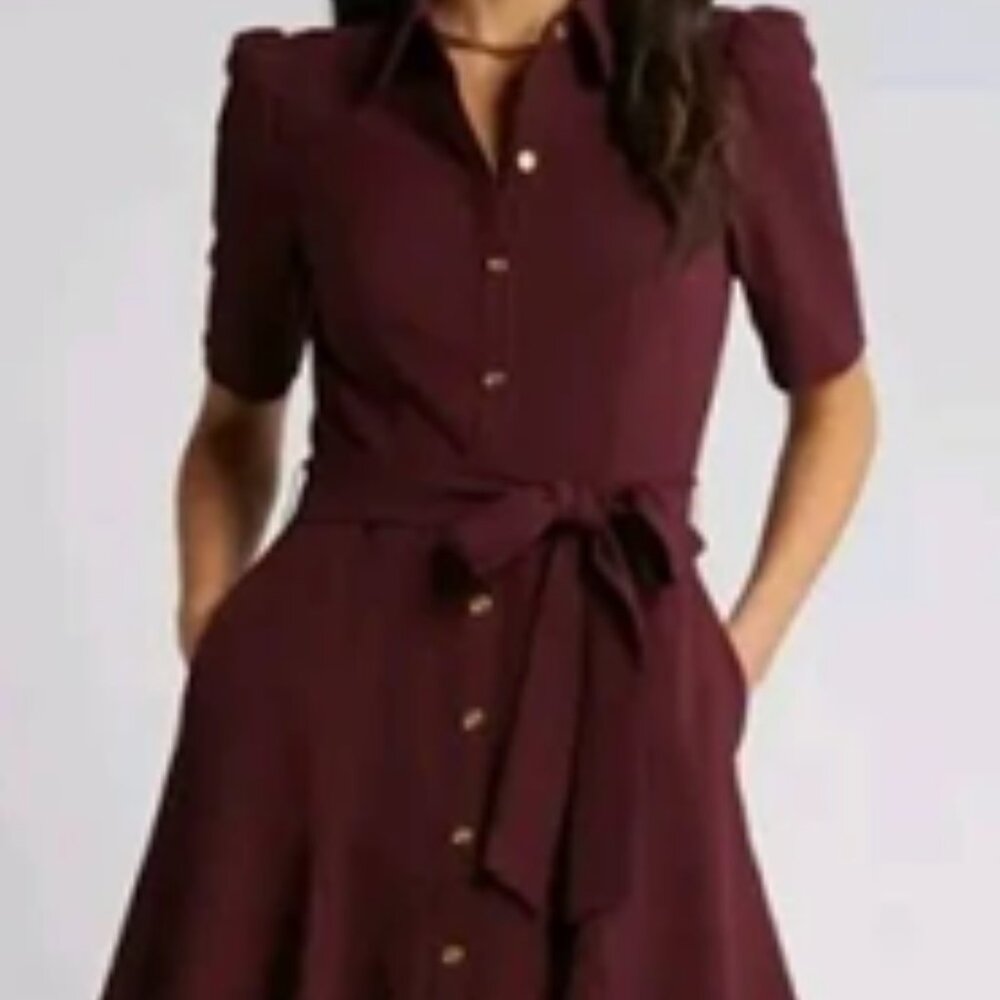 Puff Sleeve Dress with Belt